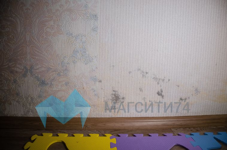 В квартире магнитогорской семьи около года не исчезает черная плесень