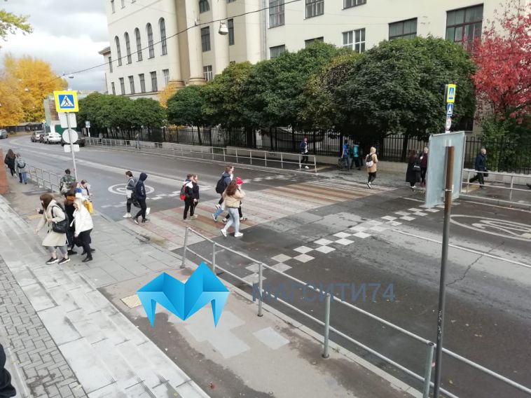 В Москве водитель на пешеходном переходе сбил кларнетистку из Магнитогорска