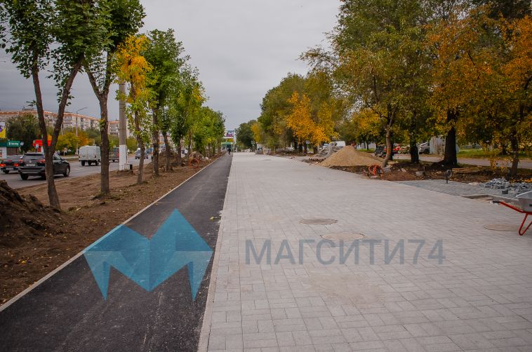 Магнитогорцы выбрали кустарник для бульвара вдоль К.Маркса