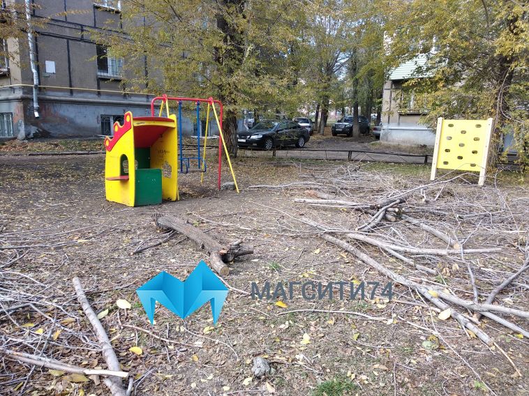 После ураганного ветра Магнитогорск до сих пор завален деревьями