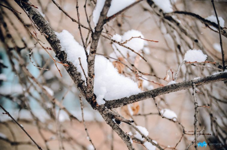 В Челябинской области ожидают снежную погоду