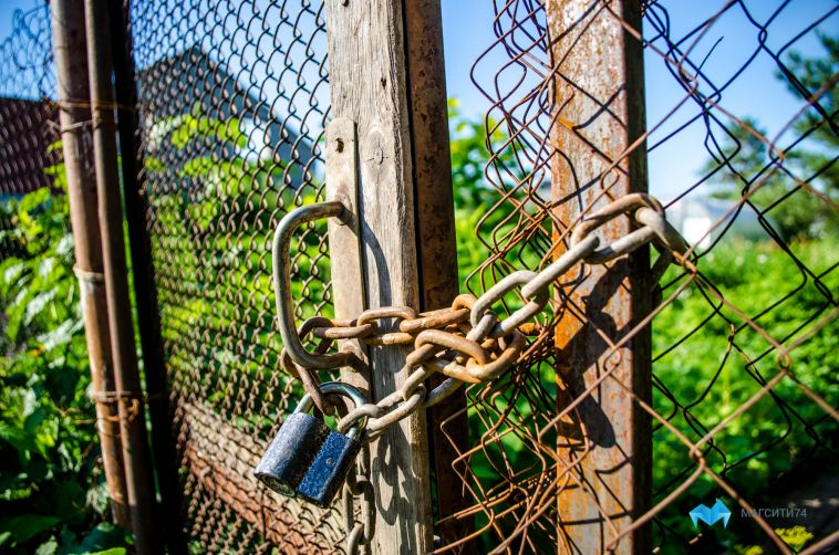 В Магнитогорске суд вынес приговор мужчине за жестокое убийство собаки