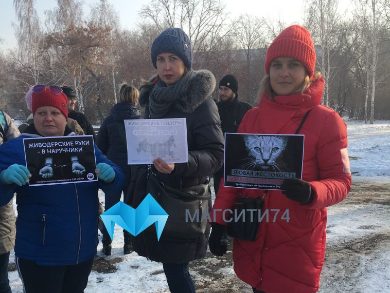 «Закон должен работать, живодёр — сидеть в тюрьме»: в Магнитогорске прошел митинг в поддержку животных