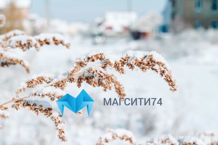 Синоптики предупредили о надвигающемся снегопаде