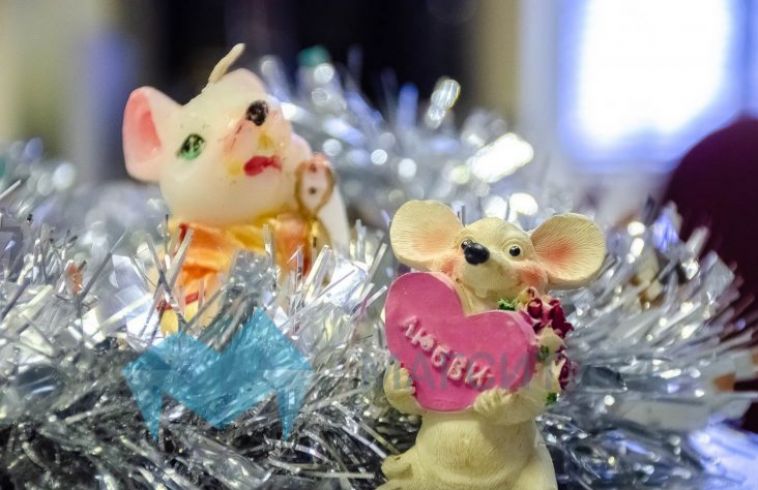 Напутствия в Новый год: Крыса готова оберегать тех, кто последует её советам