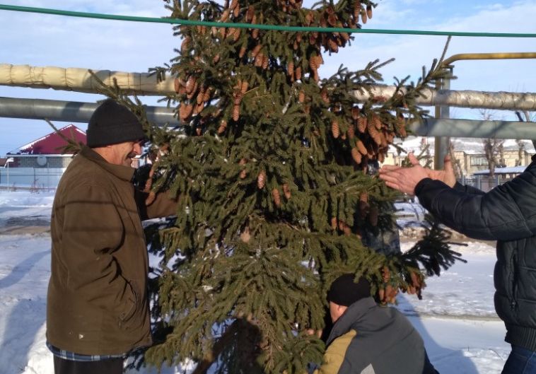 «Решили не выбрасывать»: магнитогорцы установили новогоднюю елку во дворе
