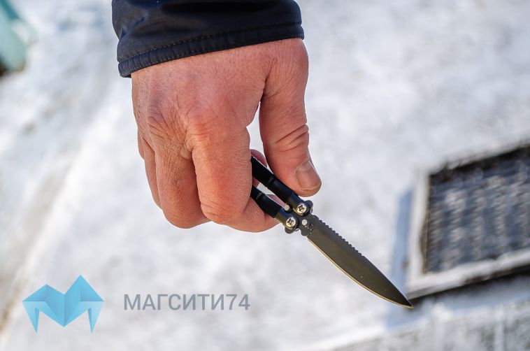 Пьяный магнитогорец зарезал щенка хаски бывшей возлюбленной