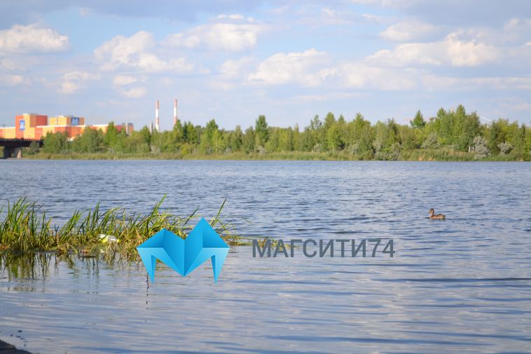 «Болото» около ДК Орджоникидзе стало поводом для масштабного исследования реки Урал
