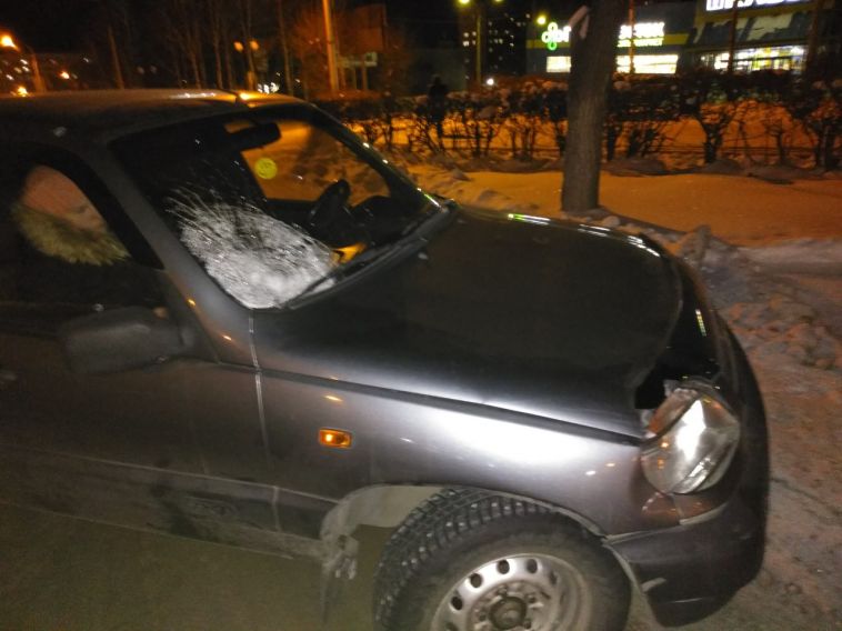 Смотрел в зеркало, а не на пешеходный переход. На водителя, сбившего женщину, завели уголовное дело
