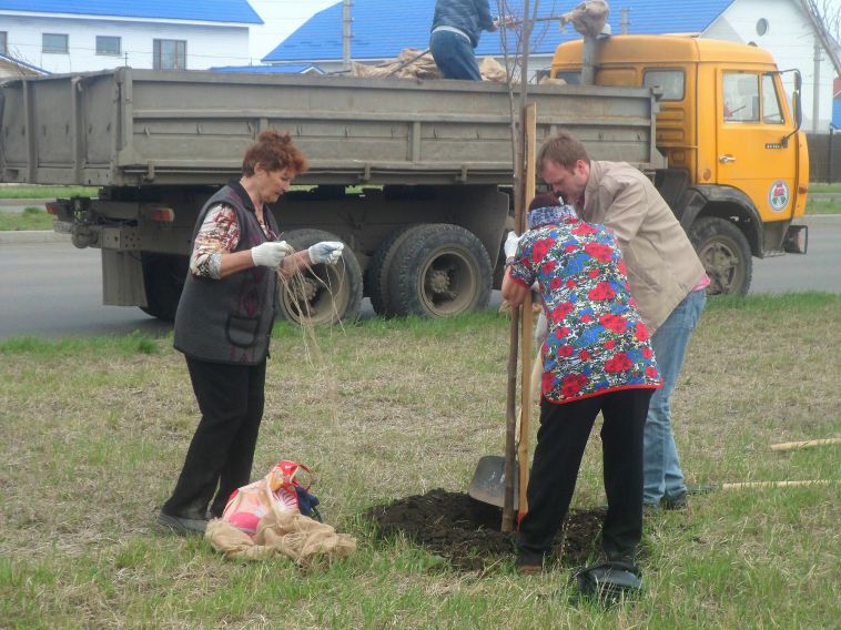 В Челябинской области высадили 234 тысячи деревьев