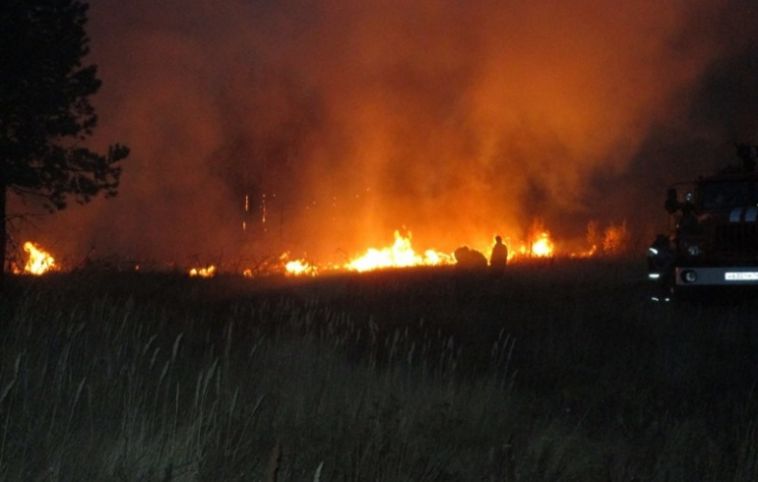 В Челябинской области тушат крупный лесной пожар