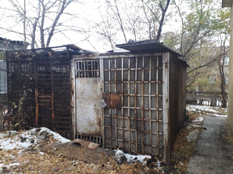 «Есть совесть у того, кто ее там закрыл?»: в Магнитогорске взломали гараж, чтобы освободить собаку