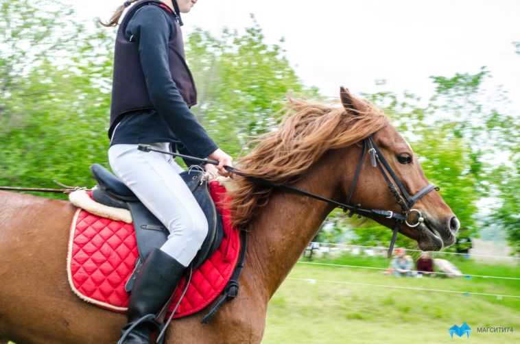 В Магнитогорске чиновники на конный спорт потратят 5,8 млн рублей