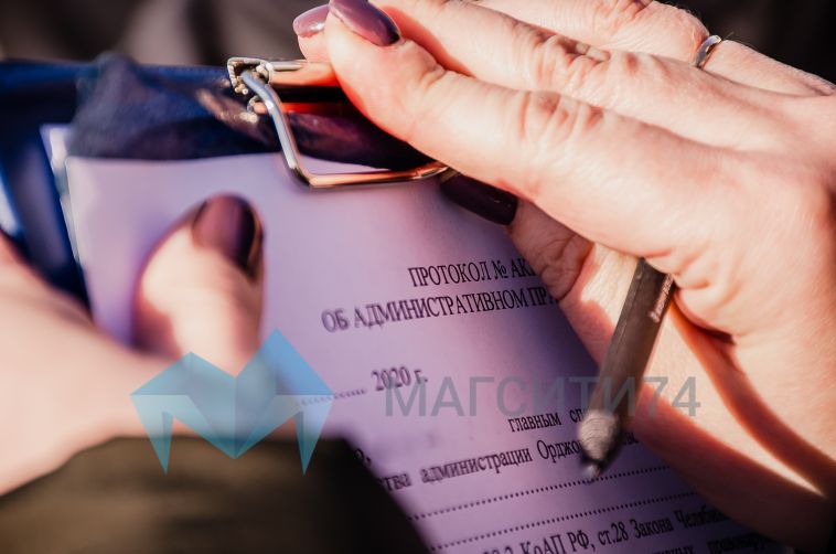 Магнитогорца хотят наказать за трупы птиц во дворе