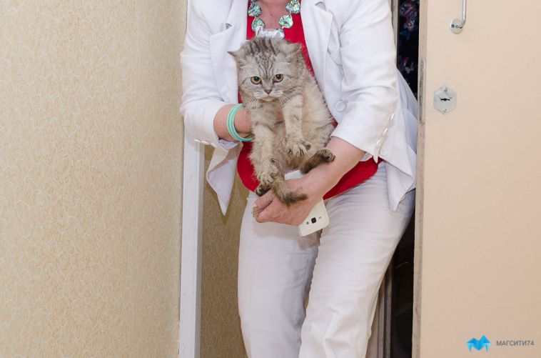 В Магнитогорске кошек и собак будут прививать от коронавируса