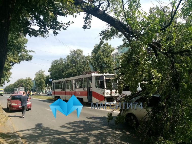 В Магнитогорске сломавшееся дерево упало на иномарку