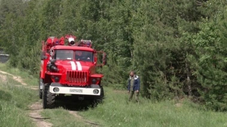 В Челябинской области мальчик потерялся в лесу во время сбора грибов