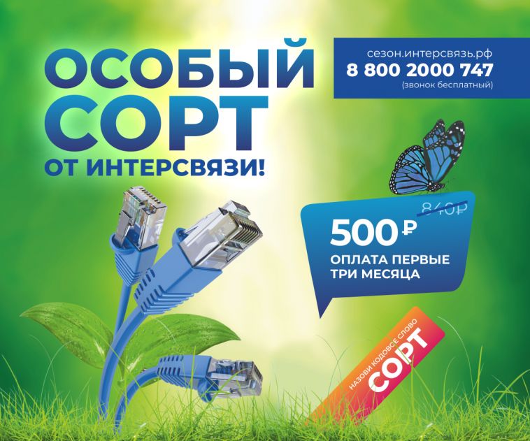 Ваш дом страдает от дефицита интернета? Интерсвязь это исправит
