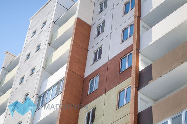 Магнитогорец на глазах у детей выкинул собаку с 9 этажа
