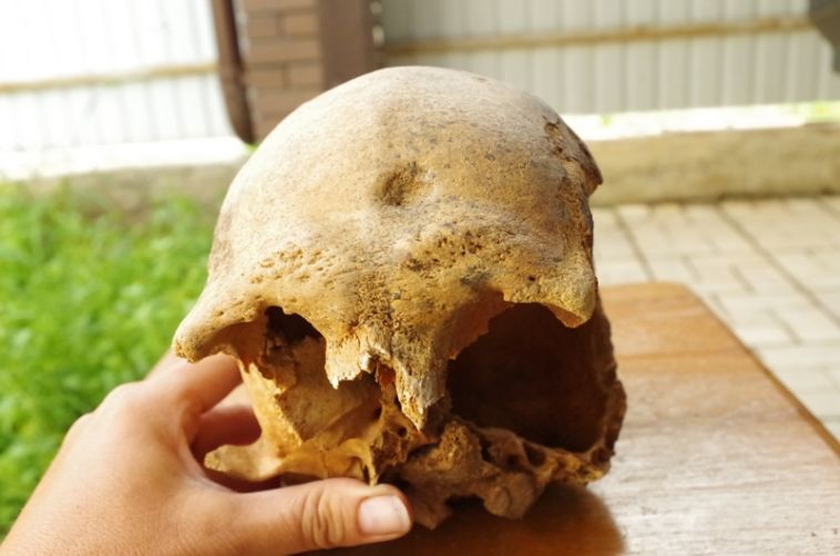 В Челябинской области археологи обнаружили 17 младенческих погребений