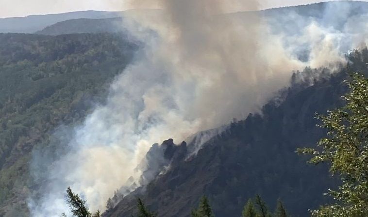 Магнитогорцев просят помочь в тушении пожара около лагеря «Горное ущелье»