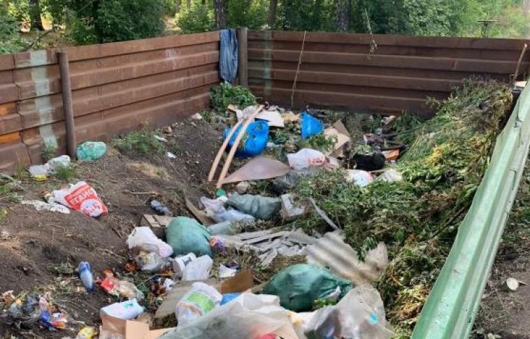 В Магнитогорске прокуратура обязала садовое товарищество поставить контейнеры для мусора