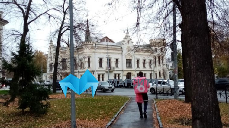 На Южном Урале ищут курьера для переезда в Германию