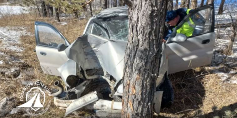 На южноуральской трассе водитель разбился насмерть, врезавшись в дерево
