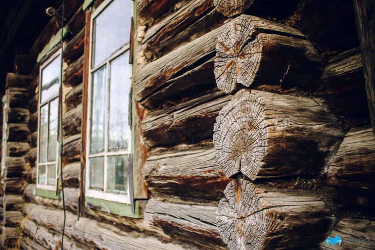 В Челябинской области нашли останки человека, который пропал без вести 10 лет назад