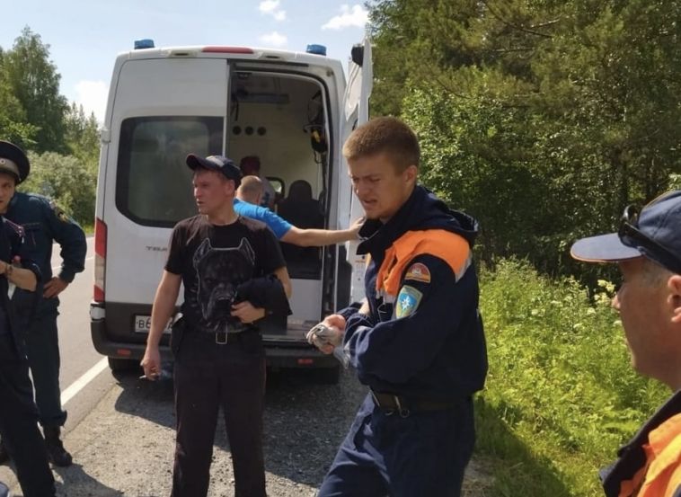 Нашли в тяжелом состоянии. Южноуральский пчеловод потерялся в лесу