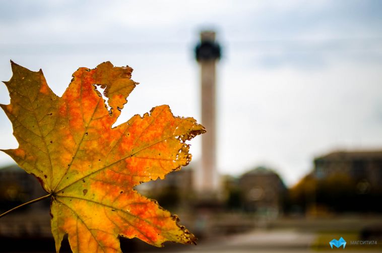 Прогноз погоды на выходные