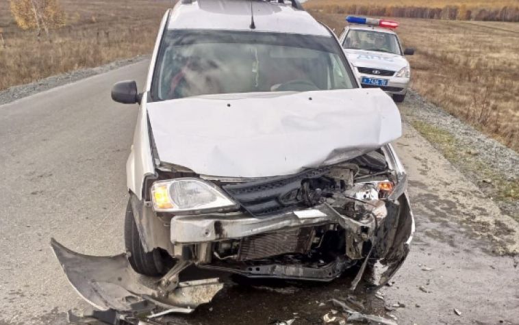 Рядом с Магнитогорском табун лошадей стал причиной ДТП на трассе