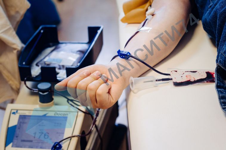 На «Госуслугах» стали доступны сервисы для доноров крови и костного мозга