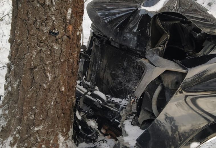 Автомобиль въехал в дерево. В ДТП на южноуральской трассе пострадало восемь человек