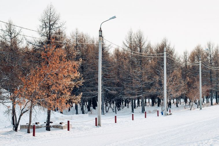 В субботу в Магнитогорске состоится благотворительный забег Дедов Морозов