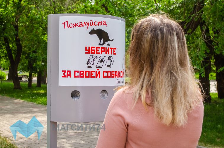 Собачники, внимание! В Челябинской области установлены дополнительные требования к содержанию и выгулу животных