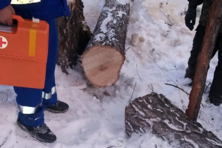 Дерево упало на ногу. Южноуральские спасатели помогли травмированному лесорубу