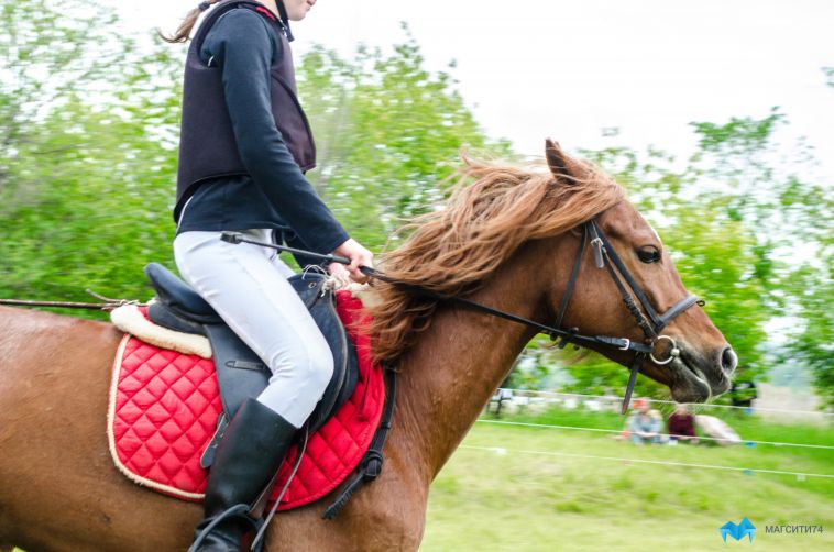 В Магнитогорске на конный спорт выделили 6,6 млн рублей